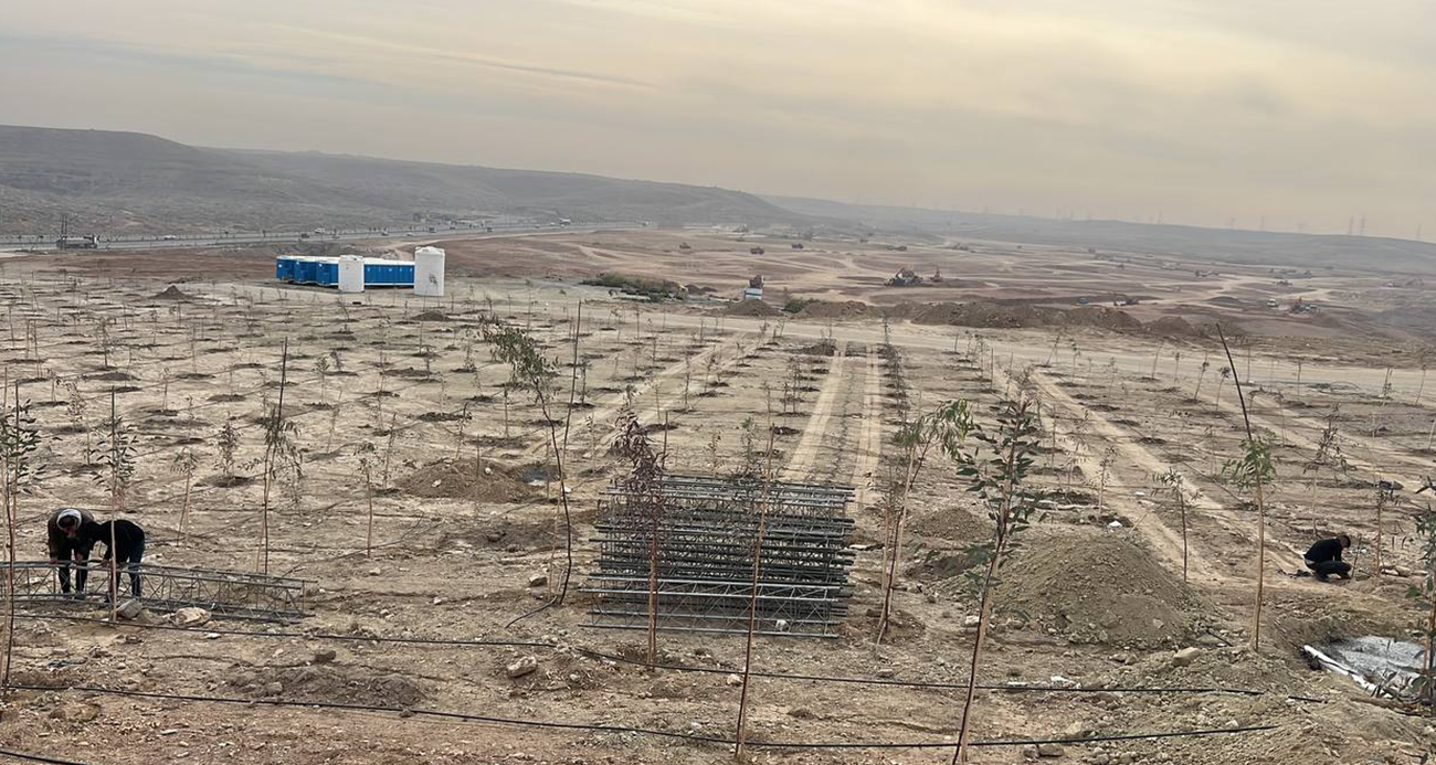 Villas Compound - Stages of starting work